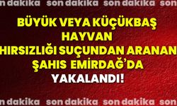 Büyük veya küçükbaş hayvan hırsızlığı suçundan aranan şahıs Emirdağ’da yakalandı!