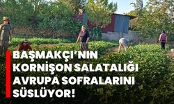 Başmakçı’nın kornişon salatalığı Avrupa sofralarını süslüyor!