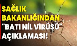 Sağlık Bakanlığından "Batı Nil Virüsü" Açıklaması