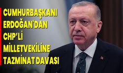 Cumhurbaşkanı Erdoğan'dan CHP  Milletvekiline Tazminat Davası