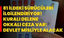 81 ildeki sürücüleri ilgilendiriyor! Kuralı delene okkalı ceza var: Devlet misliyle alacak