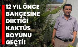 12 yıl önce bahçesine diktiği kaktüs boyunu geçti!