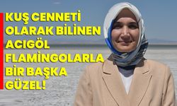 Kuş cenneti olarak bilinen Acıgöl flamingolarla bir başka güzel!