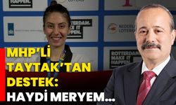 MHP’li Taytak’tan destek: Haydi Meryem…