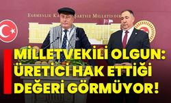 Milletvekili Olgun: Üretici hak ettiği değeri görmüyor!