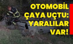 Otomobil çaya uçtu: Yaralılar var!