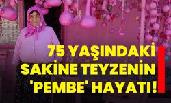 75 yaşındaki Sakine teyzenin 'pembe' hayatı!