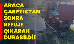 Araca çarptıktan sonra refüje çıkarak durabildi!