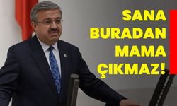 Sana buradan mama çıkmaz!