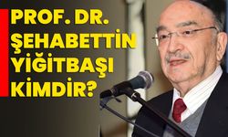 Prof. Dr. Şehabettin Yiğitbaşı kimdir?