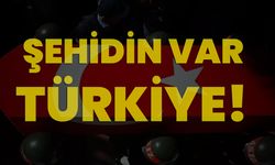 Şehidin var Türkiye!