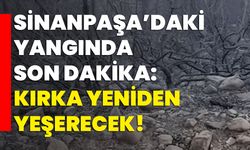 Sinanpaşa’daki yangında son dakika: Kırka yeniden yeşerecek!