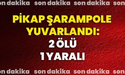 Pikap şarampole yuvarlandı: 2 ölü, 1 yaralı