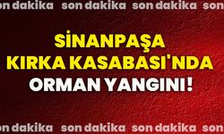 Sinanpaşa Kırka Kasabası'nda orman yangını!