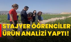 Stajyer öğrenciler ürün analizi yaptı!