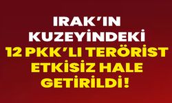 Irak’ın kuzeyindeki 12 PKK’lı terörist etkisiz hale getirildi