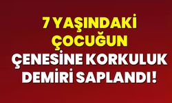 7 Yaşındaki Çocuğun Çenesine Korkuluk Demiri Saplandı