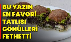 Bu Yazın En Favori Tatlısı Gönülleri Fethetti