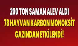 200 ton saman alev aldı, 78 hayvan karbon monoksit gazından etkilendi