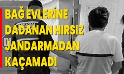 Bağ Evlerine Dadanan Hırsız Jandarmadan Kaçamadı