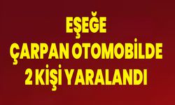 Eşeğe Çarpan Otomobilde 2 Kişi Yaralandı