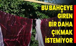 Bu bahçeye giren bir daha çıkmak istemiyor