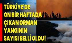 Türkiye'de Son Bir Haftada Çıkan Orman Yangının Sayısı Belli Oldu!