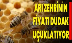 Arı zehrinin fiyatı dudak uçuklatıyor