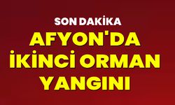 Afyonkarahisar'da ikinci orman yangını