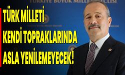 Türk Milleti Kendi Topraklarında Asla Yenilemeyecek