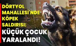 Dörtyol Mahallesi'nde Köpek Saldırısı: Küçük Çocuk Yaralandı