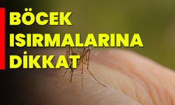 Böcek ısırmalarına dikkat