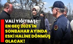 Vali Kübra Güran Yiğitbaşı: En geç 2025'in sonbahar ayında eski haline dönmüş olacak!