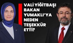 Vali Yiğitbaşı Bakan Yumaklı’ya neden teşekkür etti?