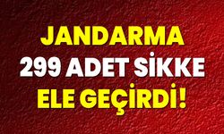 Jandarma 299 adet sikke ele geçirdi