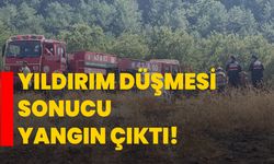 Yıldırım düşmesi sonucu yangın çıktı!