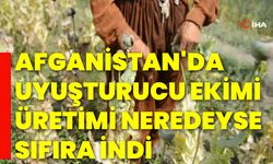 Afganistan'da uyuşturucu ekimi ,üretimi neredeyse sıfıra indi