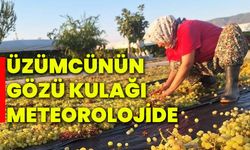 Üzümcünün gözü kulağı meteorolojide