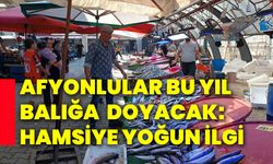 Afyonlular bu yıl balığa  doyacak: Hamsiye yoğun ilgi