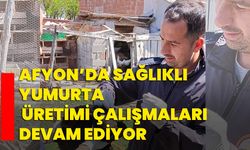 Afyon’da sağlıklı yumurta üretimi çalışmaları devam ediyor