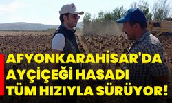 Afyonkarahisar'da Ayçiçeği Hasadı Tüm Hızıyla Sürüyor!