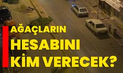 Ağaçların hesabını kim verecek?