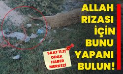 “Allah rızası için bunu yapanı bulun!”