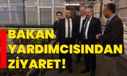 Bakan Yardımcısından ziyaret!