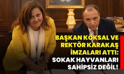 Başkan Köksal ve Rektör Karakaş imzaları attı: Sokak hayvanları sahipsiz değil!