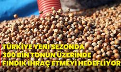 Türkiye, yeni sezonda 300 bin tonun üzerinde fındık ihraç etmeyi hedefliyor!