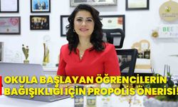 Okula başlayan öğrencilerin bağışıklığı için propolis önerisi!