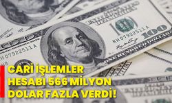 Cari işlemler hesabı 566 milyon dolar fazla verdi!