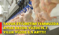 Tavuk eti üretimi temmuzda aylık bazda yüzde 15,7, yıllık yüzde 5,5 arttı!