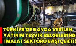 Türkiye'de 6 ayda verilen yatırım teşvik belgelerinde imalat sektörü başı çekti!